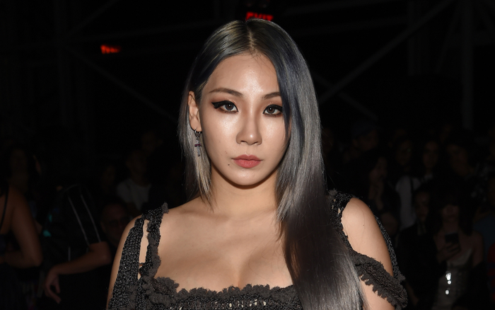 29 Tết: Mẹ CL (2NE1) qua đời! Ảnh 2