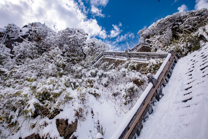 Chùm ảnh: Du khách đổ xô đi săn tuyết, đỉnh Fansipan đẹp tựa trời Tây Ảnh 10