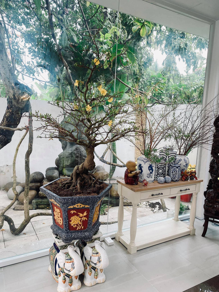 Tết đến xuân về, Shark Khoa khoe ảnh bên trong dinh thự tiền tỉ sang trọng 'vạn người mê' Ảnh 9