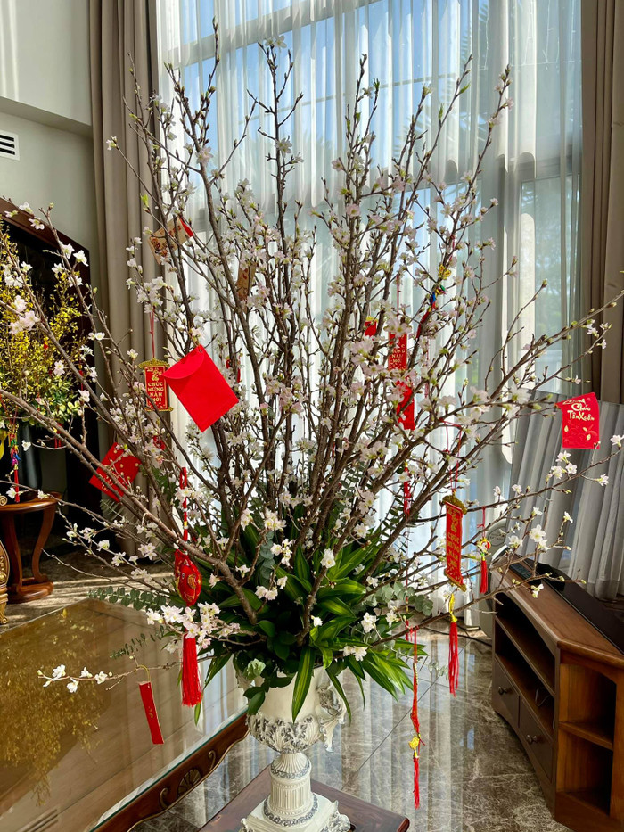 Có thể thấy, góc nào bên trong biệt thự tiền tỷ của vợ chồng Bảo Thy đều cũng ngập tràn sắc hoa và mang đậm không khí Xuân