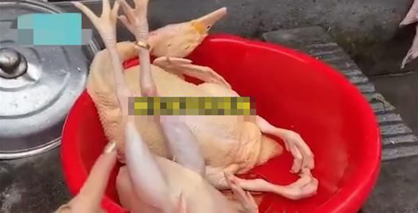 Chiếc nhẫn này là của mẹ chị Từ bị mất nhiều năm nay.&nbsp;