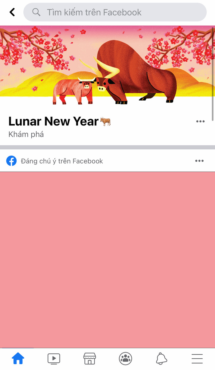 (Ảnh chụp màn hình)