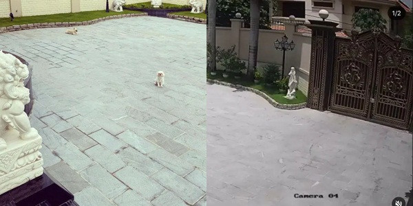 Phillip Nguyễn khoe ảnh biệt thự tiền tỉ ngập tràn trong không khí đón Tết Ảnh 6