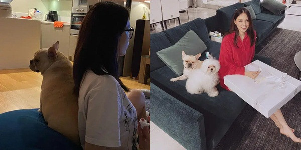 Phillip Nguyễn khoe ảnh biệt thự tiền tỉ ngập tràn trong không khí đón Tết Ảnh 8