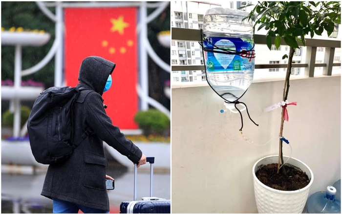 Về quê nghỉ Tết và không có ai chăm sóc cây cảnh, cô gái nảy ra ý tưởng 'bá đạo' khiến dân mạng thích thú Ảnh 2