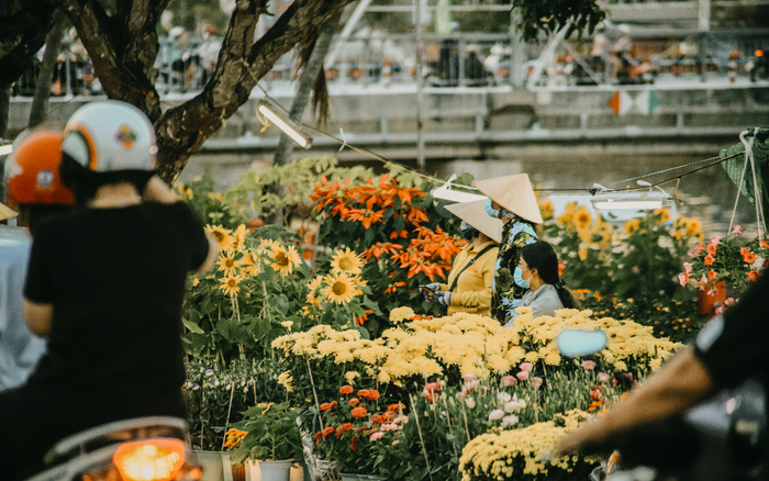 'Phải lòng' Cần Thơ: Đô thị miền sông nước khoác màu áo hoa Ảnh 2