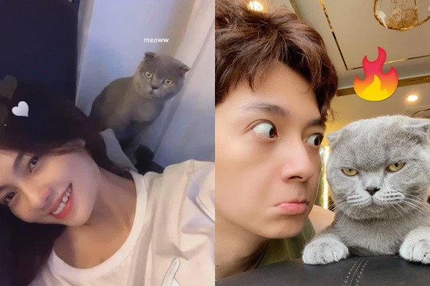 Uyên Endy chụp hình cùng mèo cưng của Ngô Kiến Huy