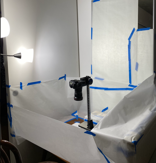 Bước tiếp theo là quay lại quá trình tô màu và cho thêm kim tuyến để trang trí. (Ảnh: Google)