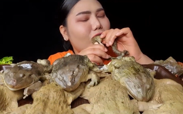 Hot YouTuber gây sốc khi 'mukbang' món đặc sản kinh dị trong ngày đầu năm mới Ảnh 2