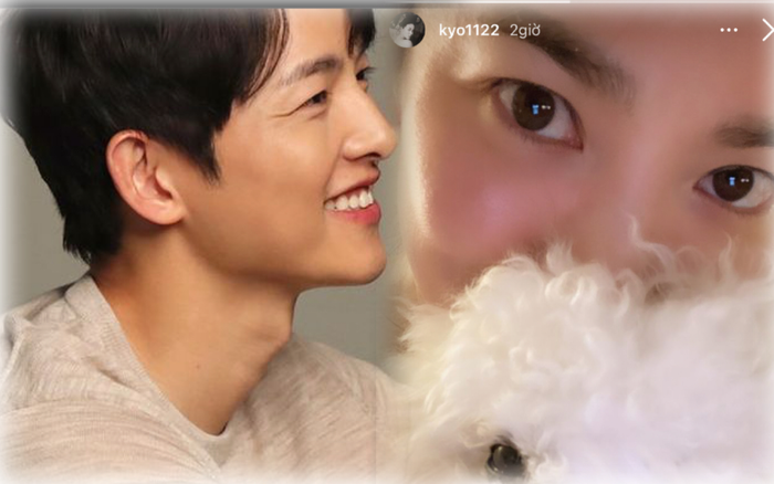 Lễ tình nhân 14/02: Song Joong Ki mở Instagram chính thức, Song Hye Kyo liền đăng ảnh 'dằn mặt'! Ảnh 2