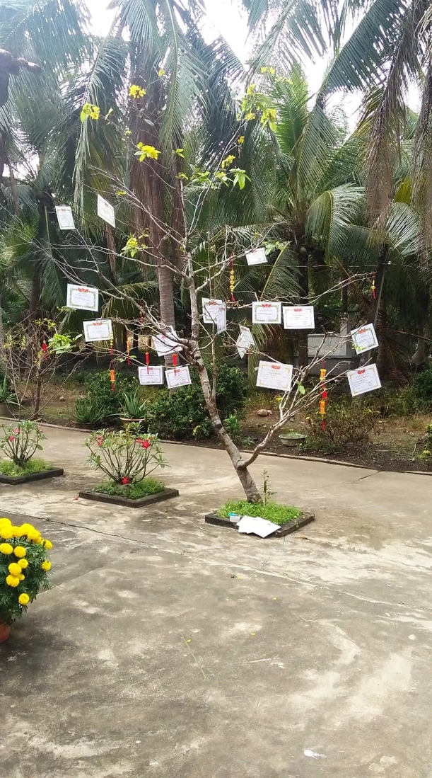 Loạt giấy khen, huy chương được mang ra trang trí Tết khiến cư dân mạng thích thú. Ảnh: Tổng hợp