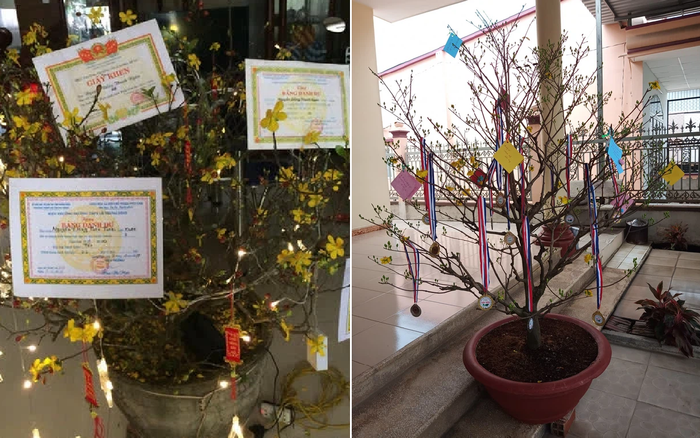 Lại thêm 'hot trend' làm dậy sóng giới học trò trong những ngày Tết Nguyên đán Ảnh 2