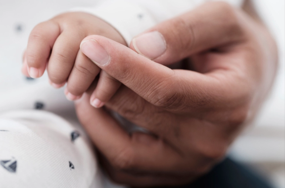 Khỉ hoang vào nhà bắt cóc bé sơ sinh, vứt xác dưới hào nước Ảnh 4