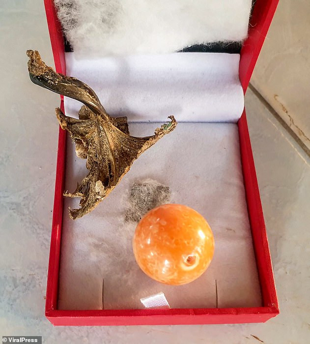 Đang ăn ốc luộc, người đàn ông sững sờ khi phát hiện 'kho báu' tiền tỷ bên trong Ảnh 8