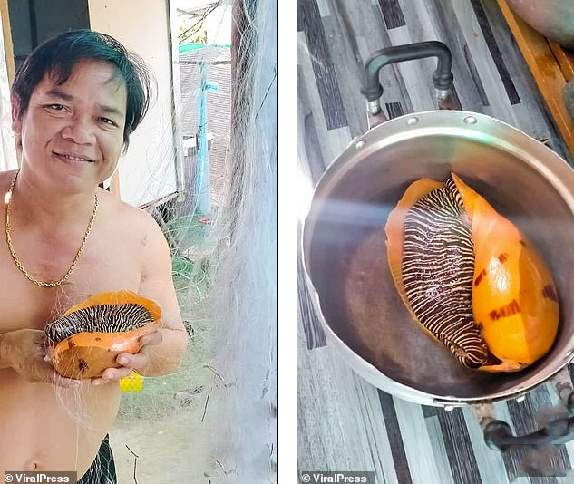 Đang ăn ốc luộc, người đàn ông sững sờ khi phát hiện 'kho báu' tiền tỷ bên trong Ảnh 3