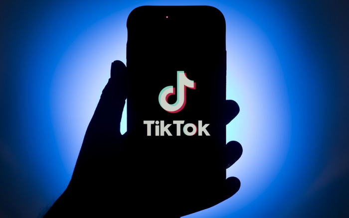 TikTok đối diện nhiều đơn kiện vi phạm luật người tiêu dùng ở Châu Âu Ảnh 2