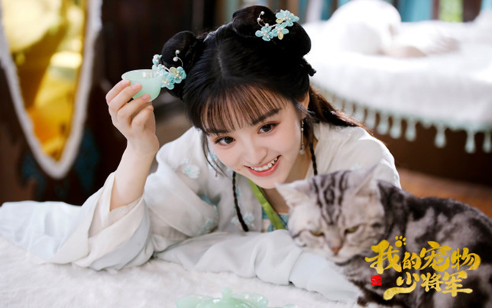 Thiếu tướng quân thú cưng của tôi: Mối tình “cute hột me” của soái ca mèo và nữ chính 'ngốc bạch ngọt' Ảnh 2