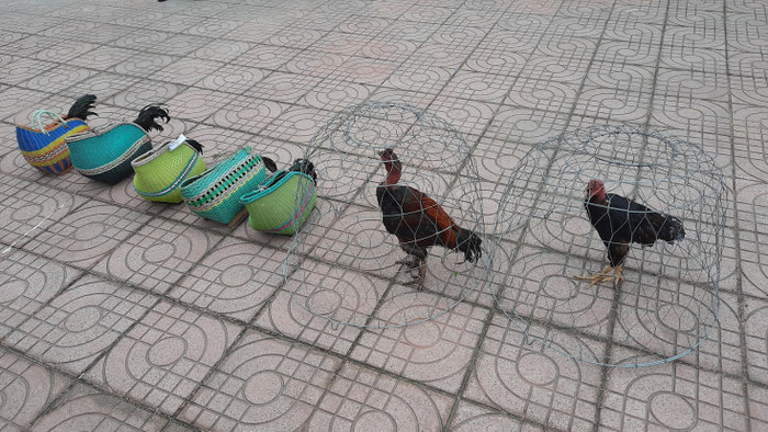 Tang vật vụ án