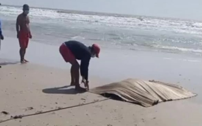 Du khách hốt hoảng phát hiện thi thể nam giới trôi dạt trên biển Vũng Tàu Ảnh 2