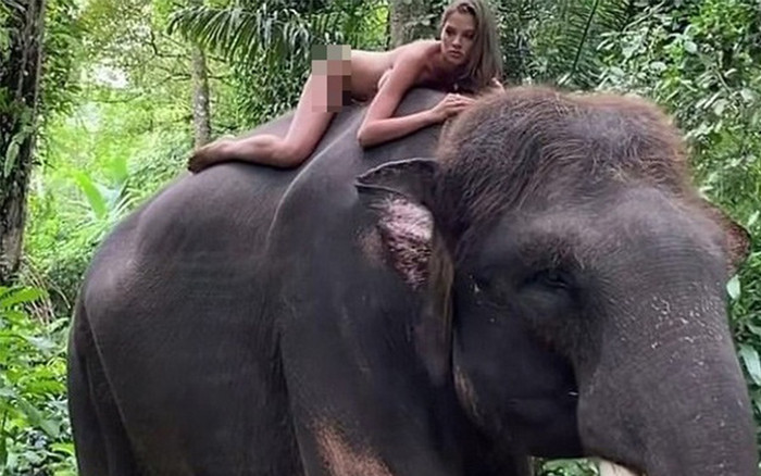 Nữ người mẫu gây tranh cãi với bức ảnh khỏa thân cưỡi voi Ảnh 2