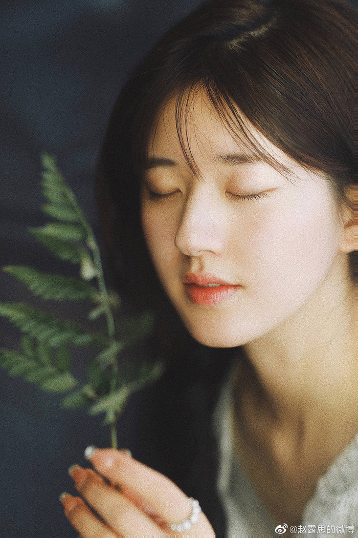 Triệu Lộ Tư - Cúc Tịnh Y: Ai mới thực sự là 'Nàng thơ' Hoa ngữ? Ảnh 18