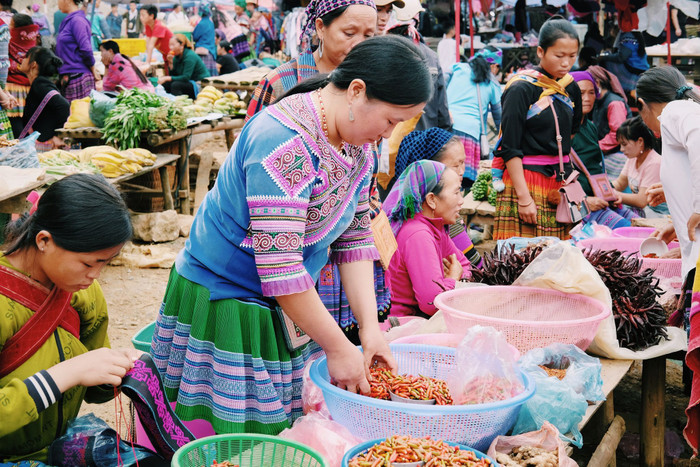 Nét duyên vùng Tây Bắc: Đàn trâu hạnh phúc của nàng Si Mai Ca Ảnh 3