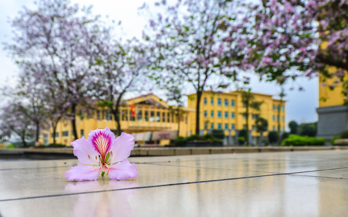 Đại học ở Hà Nội cho sinh viên trở lại học tập, yêu cầu không ra khỏi khuôn viên đến khi có thông báo Ảnh 2