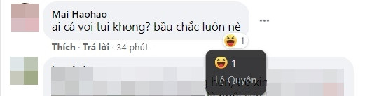 Khi bị cư dân mạng quả quyết đang mang thai, Lệ Quyên có động thái hết sức bất ngờ Ảnh 3