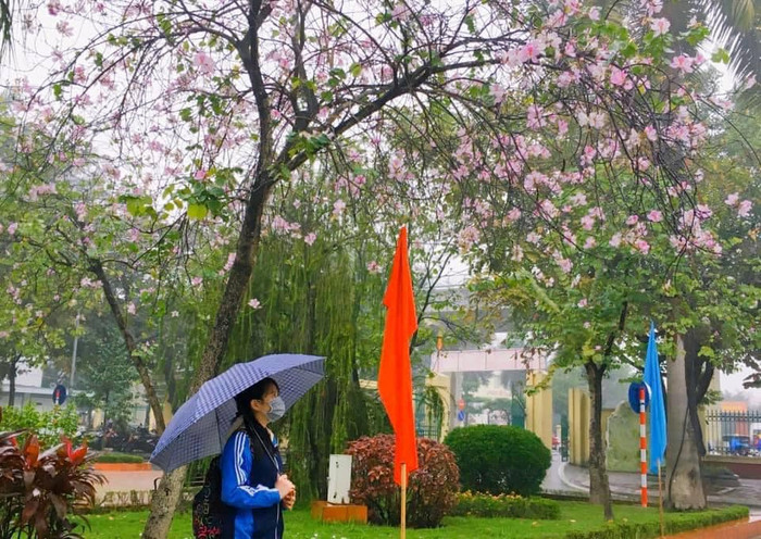 Với khung cảnh đẹp thế này, các sinh viên phải tranh thủ 'sống ảo' mà thôi