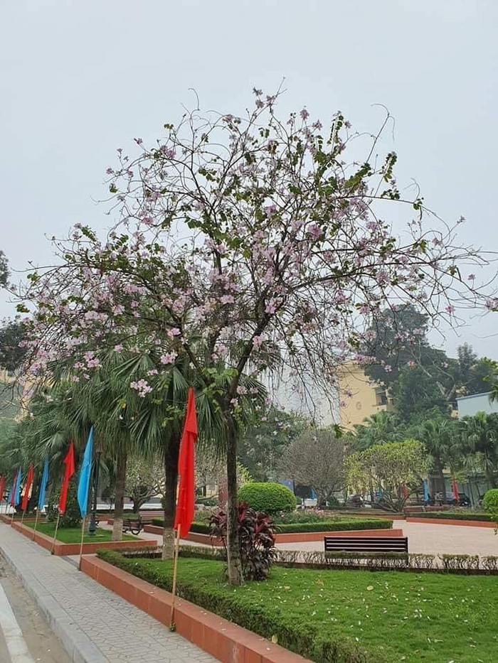 Góc nào cũng lãng mạn, cộng thêm thời tiết ấm áp mới thật lý tưởng làm sao