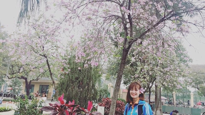 Chẳng cần di chuyển đi đâu xa xôi, các sinh viên Đại học Thương Mại cũng được tận hưởng không khí núi rừng Tây Bắc