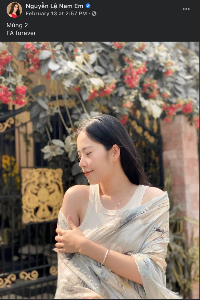 Mùng 2 Tết, Nam Em đăng tải dòng trạng thái khẳng định độc thân gây chú ý.