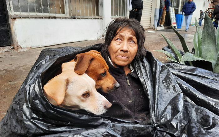 Bà lão nhất quyết sống trong túi rác 8 năm không chịu đi, lý do đằng sau khiến ai nghe cũng rơi nước mắt Ảnh 2