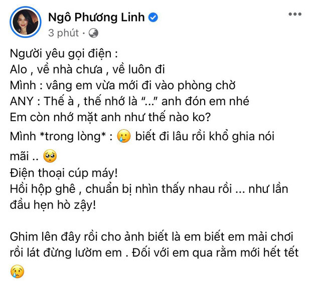 Dòng trạng thái của Linh Rin (Ảnh chụp màn hình Facebook nhân vật)