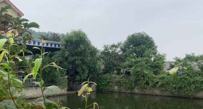 Trước nhà của cô có một cái ao 