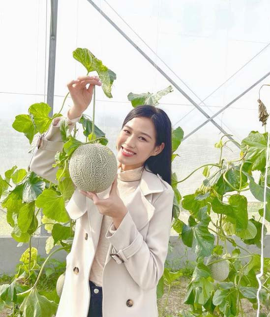 Được biết không chỉ có bưởi mà vườn nhà của Đỗ Thị Hà còn có dưa lưới, đu đủ và nhiều loại củ quả khác