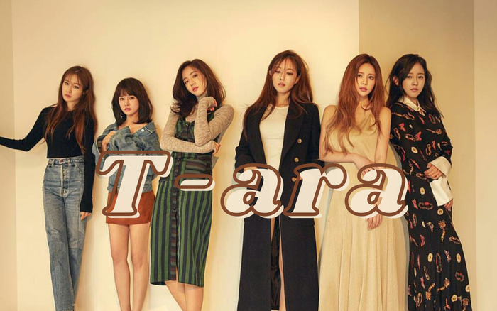 Knet lo lắng cho tình trạng của T-ara hiện tại: Liên tiếp có 2 thành viên bị đe dọa Ảnh 2