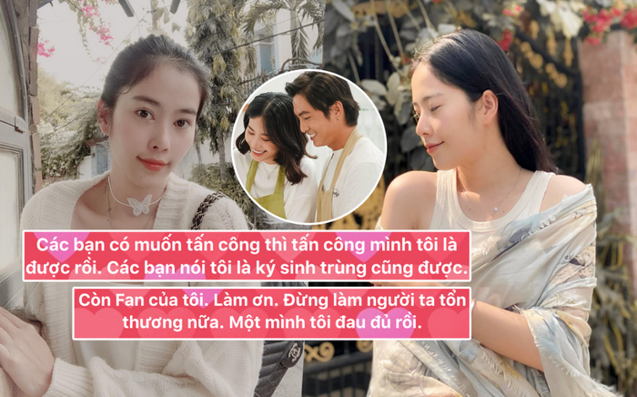 Giữa ồn ào chia tay Lãnh Thanh, Nam Em: 'Nói tôi là ký sinh cũng được nhưng xin đừng làm họ tổn thương' Ảnh 2