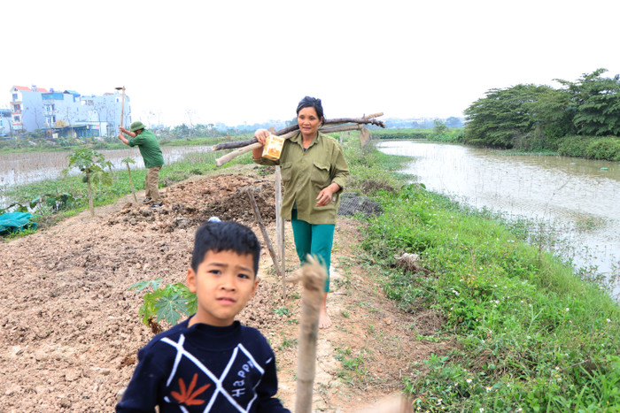 Quanh năm bà Hải quanh quẩn đồng ruộng, ao cá...