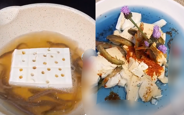 Trổ tài làm món 'đậu hủ địa ngục', cô gái bị cư dân mạng lên án dữ dội vì quá tàn nhẫn Ảnh 2