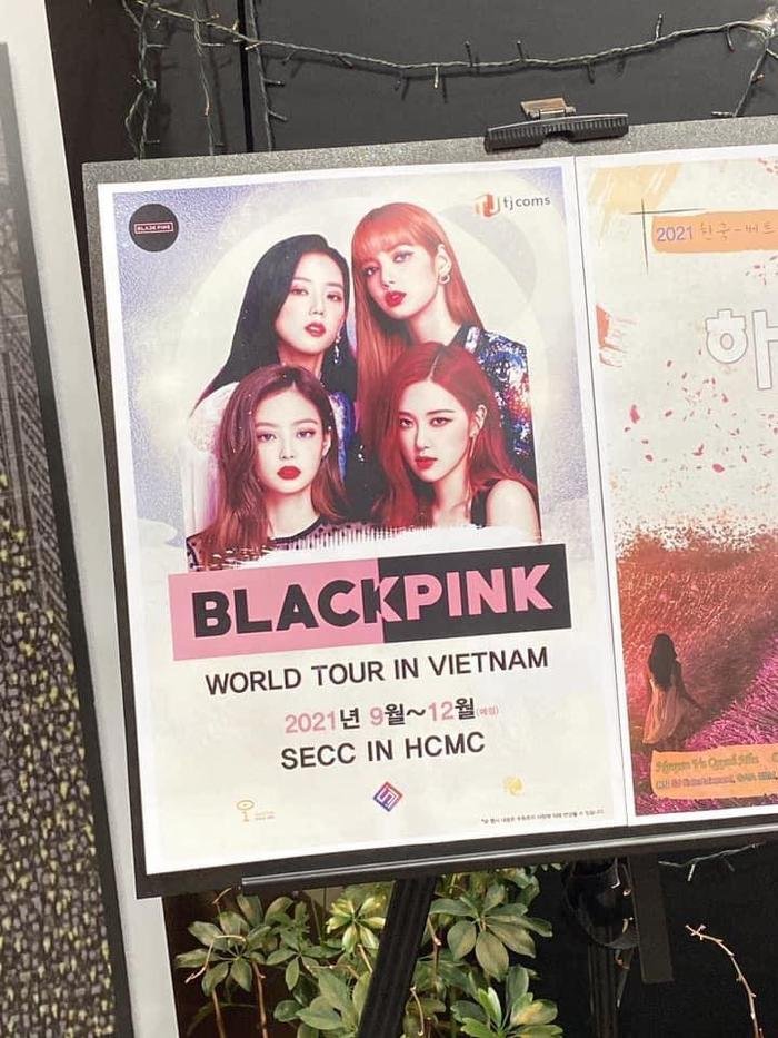 Rộ tin BlackPink làm concert cuối năm ở Việt Nam, fan háo hức lẫn hoang mang Ảnh 1