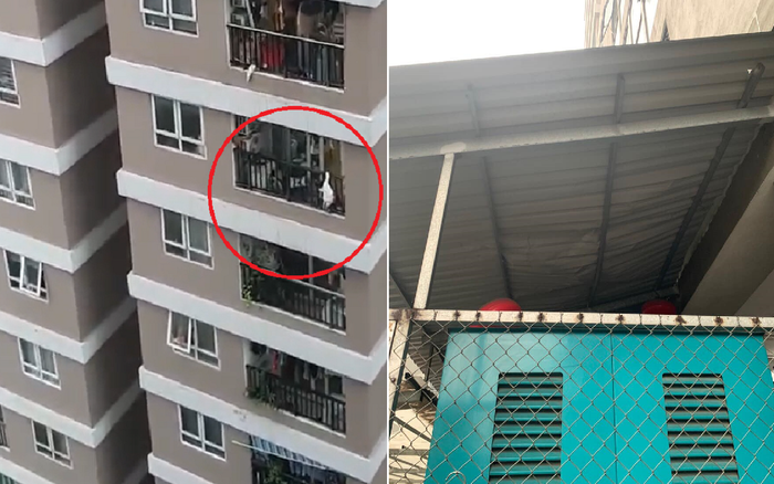 Giây phút hoảng loạn chứng kiến bé gái rơi từ tầng 12 chung cư được nam thanh chở hàng liều mình cứu sống Ảnh 2
