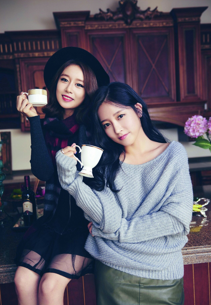 Fan rất lo lắng cho tình trạng của hai nữ idol.