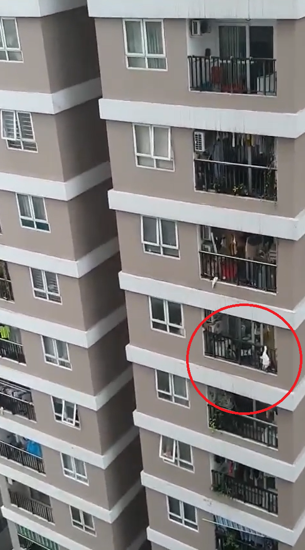 Hình ảnh bé gái treo lơ lửng trên lan can chung cư khiến nhiều người sợ hãi