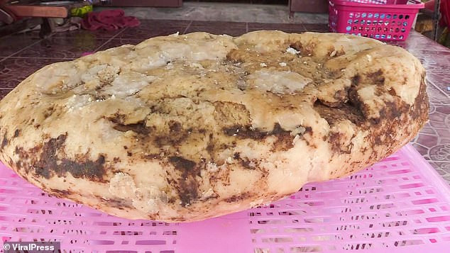 Người phụ nữ phát hiện khối long diên hương trị giá gần 6 tỷ Ảnh 4