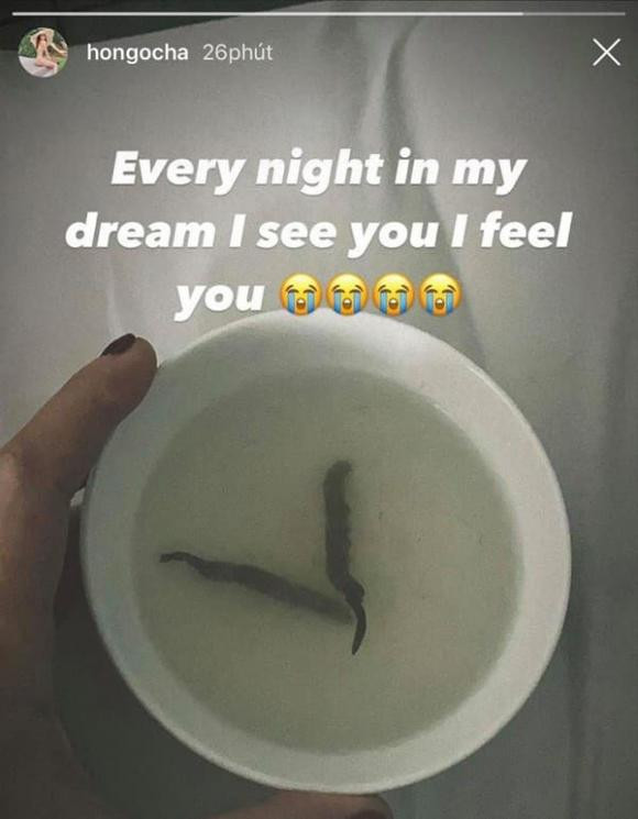 Trước đó, trong thời kì mang thai cặp sinh đôi, Hồ Ngọc Hà từng chia sẻ một trong những món ăn quen thuộc được cô dùng đến mức 'ám ảnh cả trong mơ' chính là 'sâu vàng'