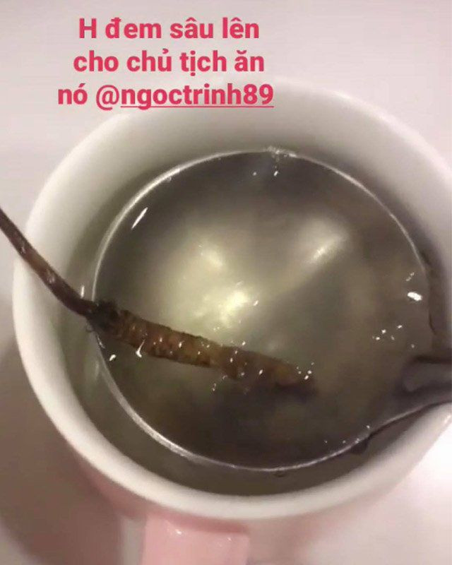 Đông trùng hạ thảo cũng là “thần dược” dưỡng nhan của Ngọc Trinh. Người đẹp Trà Vinh thường uống đông trùng hạ thảo với yến để bồi bổ sức khỏe và sắc đẹp