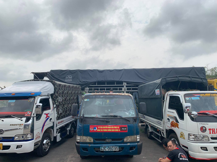 Người Đà Nẵng giải cứu rau củ Hải Dương: 'Chúng tôi hiểu nỗi lòng người nông dân vùng tâm dịch' Ảnh 4