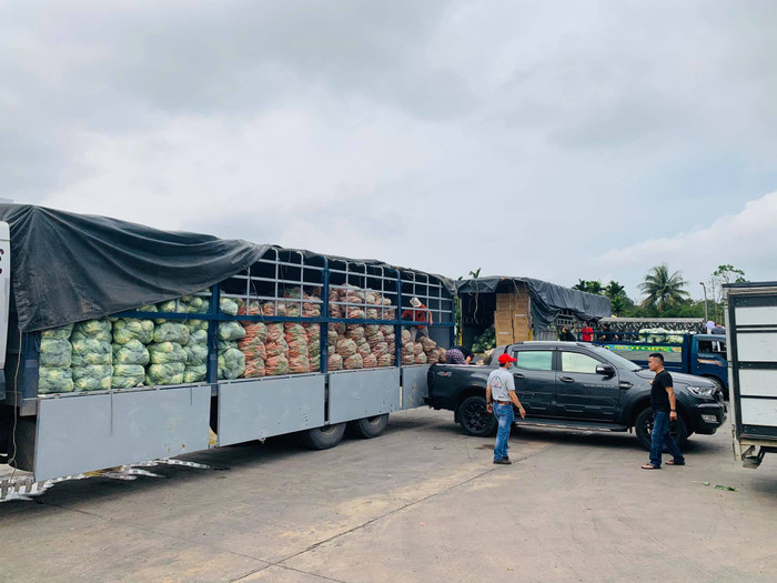 Người Đà Nẵng giải cứu rau củ Hải Dương: 'Chúng tôi hiểu nỗi lòng người nông dân vùng tâm dịch' Ảnh 10