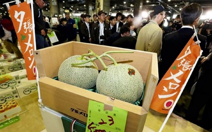 Nghệ thuật biến mọi thứ đắt như vàng ở Nhật: Cá ngừ 41 tỷ, quả dưa bằng giá ô tô Ảnh 2